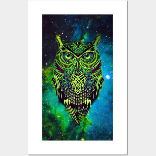 Owl 5 Posters and Art